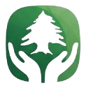Raising money online